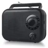 Radio portable 2 gammes - NEW ONE R210 - Antenne FM pivotante - Alimentation piles ou secteur