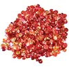 Paris Prix Homéa, Assortiment de Sequins 40 Gr Passion
