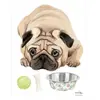 Mimi'lou Planche sticker Carlin Mops (35 x 45 cm)