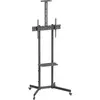 Supports TV NorStone Vision One