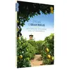 Blaq out Coffret 2 Films d'Eran Riklis DVD