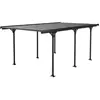 Habitat et Jardin Carport voiture "Denver" - 5.02 x 3.13 x 2.05 m - Transparent / Noir