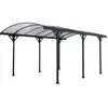 Habitat et Jardin Abri pour voiture en aluminium - Carport Protector - 15m² - Noir