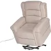 Happy Garden - Fauteuil électrique inclinable bernie taupe