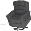 Happy Garden Fauteuil Électrique Inclinable Bernie Gris