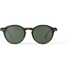 Izipizi - Lunettes de soleil polarisées - #D Sun Tortoise Polarized  - Marron