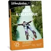 Coffret cadeau Wonderbox Saut à l'elastique