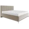 BESTMOBILIER Mendoza - lit coffre - 160x200 - sommier inclus - en velours - Beige