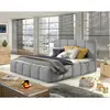 BESTMOBILIER Lucea - lit coffre - 160x200 - sommier inclus - en velours - Gris clair