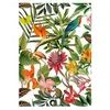 GENERIQUE Tissu d'extérieur Bora Bora déperlant vendu au mètre(...) - Borabora blanc
