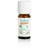 Puressentiel Huiles Essentielles Vétiver (Chrysopogon zizanioides) Bio