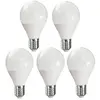 Ampoule LED - ADVANCED STAR - A50 - 5W - 6500K° - E27 - Lot de 5 ampoules