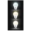 Ampoule Kool.star Lamp Led 23