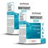 Watercut - Draineur nouvelle génération - Lot de 2 unités