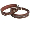 Collier pour chien en cuir Antarès Marron L AD_COLLAR_MALT_SILVER_NA