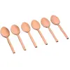 Björn Coffret 6 Petites Cuillères Emund - Copper