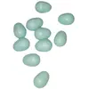 animallparadise - 10 oeufs Artificiel en Plastique ø 1.6 cm pour canari