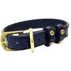 Collier pour chien Cavaletti Strass Marron 45 cm CAP03O