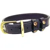 Collier pour chien Cavaletti Strass Noir 45 cm CAP03B