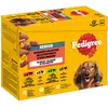 Multipack Pedigree Senior pour chien - sélection variée en gelée (4 variétés) 12 x 100 g