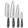 Carbon - Set 4 couteaux de cuisine Sabatier Trompette TU