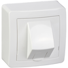 Prise RJ45 ALRÉA catégorie 6 UTP - Schneider - SHN0262342P