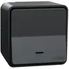 Schneider Electric MUR35028 Bouton Poussoir lumineux mureva Styl, 250 V, Gris