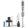 TEFAL QUICKCHEF HB65K BLENDER 0,8 L MÉLANGEUR PAR IMMERSION ACIER INOX