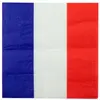 Ces serviettes de table tricolores sont idéales pour décorer vos table...