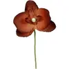 SANTEX 6 ORCHIDÉES - CHOCOLAT Marron, chocolat