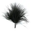 SANTEX Plume de couleur noir