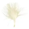 SANTEX 20 Plumes Ivoire