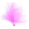 Plumes Décoratives - Rose x 20