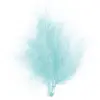 Santex 20 Plumes Bleu Ciel