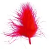 Santex 20 plumes de 7cm - rouge - chalayer 000257100000007