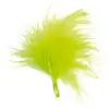 Santex 20 plumes de 7cm - anis - chalayer 000257100000010