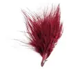 Décoration - SANTEX - 20 Plumes Bordeaux - Plume - Rouge - Adulte
