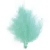SANTEX Plume de couleur turquoise
