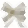 Sachet de 5 noeuds automatiques tulle ivoire