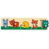 DJECO Puzzle à encastrement : Forest'n'co Coloris Unique