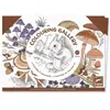 3 Posters à colorier Naturaliste Djeco