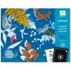 Djeco Kit cyanotype : Starter kit