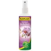 ALGOFLASH Hydratant Orchidées - 250ml
