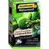 ALGOFLASH NATURASOL Engrais Conifères et Buis longue durée 800 g