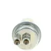 BOSCH 0 438 170 026 Accumulateur de pression, pression de carburant