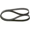 Courroie d'accessoires BOSCH 1 987 948 479 - Réf. 1987948479