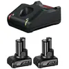 Pack 2 batteries gba 12V 6Ah Bosch avec chargeur GAL12V-40 - 600A01B20