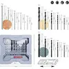 Bosch - Professional 2 607 017 038 - 12 cm (2607017038)