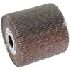 Bosch Accessories 2608000596 Rouleau à lamelle 19 mm 100 mm 100 mm 40