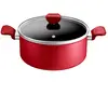 SEB TEFAL DAILY EXPERT Faitout avec couvercle 24CM 5L ROUGE